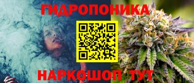 apvp Рыбинск