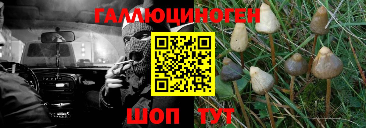 Галлюциногенные грибы GOLDEN TEACHER Сафоново