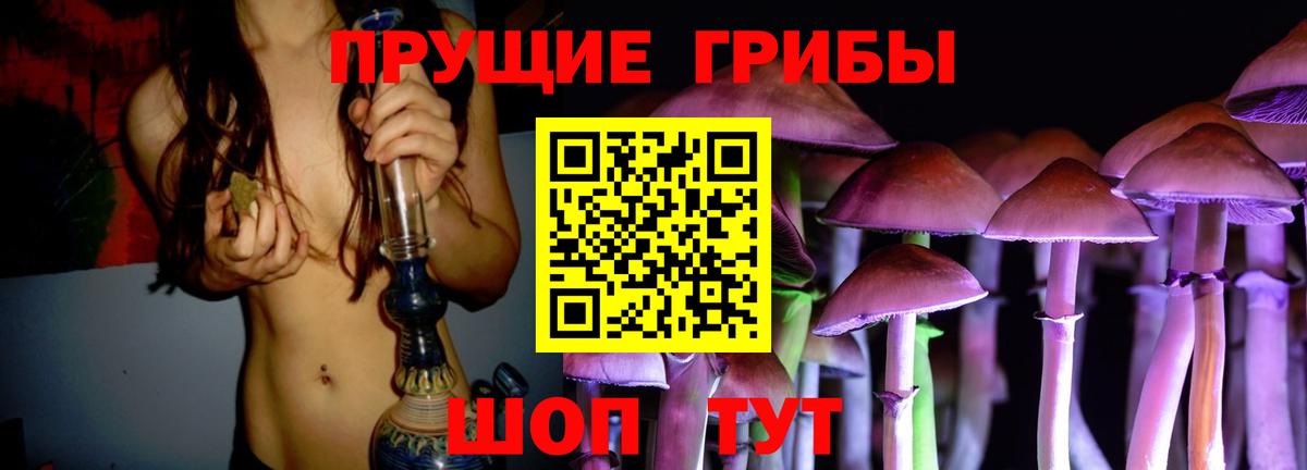 Сафоново  Галлюциногенные грибы GOLDEN TEACHER  Вход с VPN 